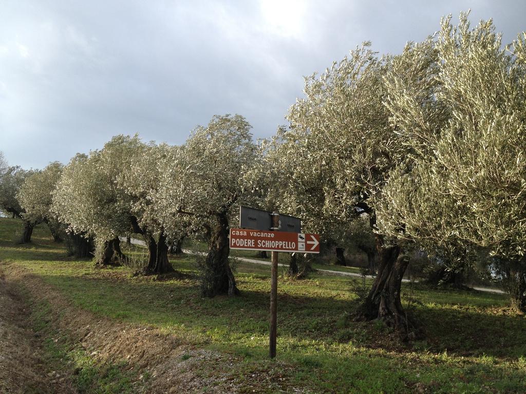 Podere Schioppello Casale Con Appartamenti Privati Cibottola Rum bild