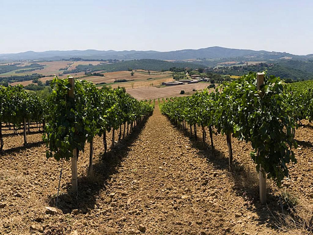 Podere Schioppello Casale Con Appartamenti Privati Cibottola Exteriör bild