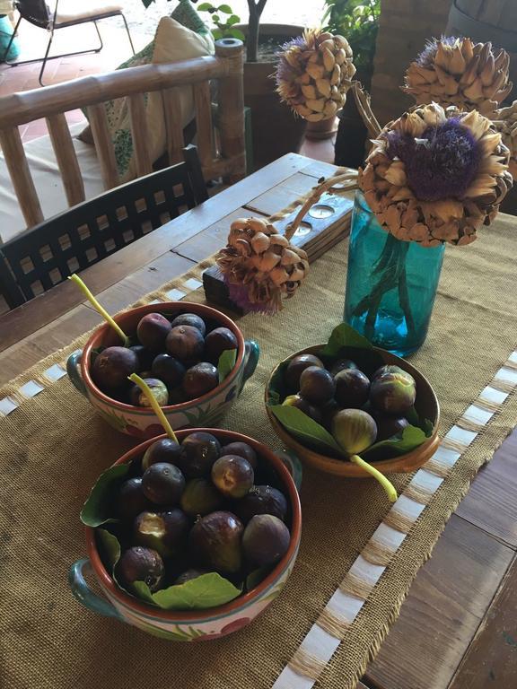 Podere Schioppello Casale Con Appartamenti Privati Cibottola Exteriör bild