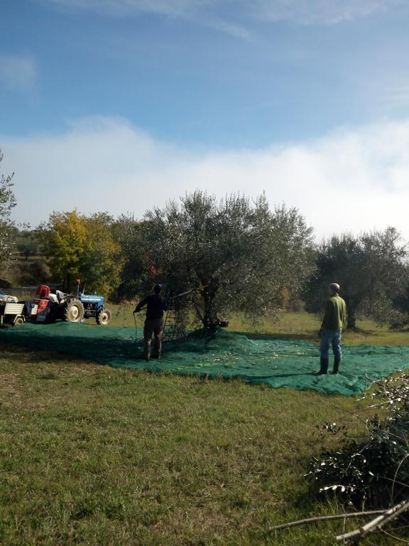Podere Schioppello Casale Con Appartamenti Privati Cibottola Exteriör bild